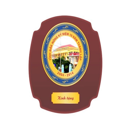 Kỷ niệm chương gỗ đồng 07