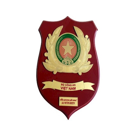 Kỷ niệm chương gỗ đồng 08