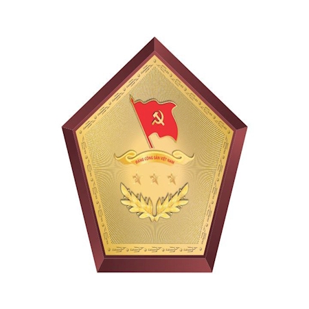 Kỷ niệm chương gỗ đồng 09