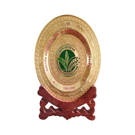 Kỷ niệm chương gỗ đồng 17